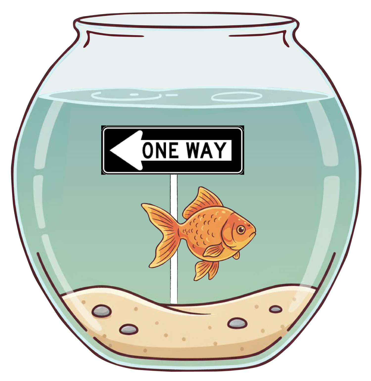 Go your own way (Jumper)